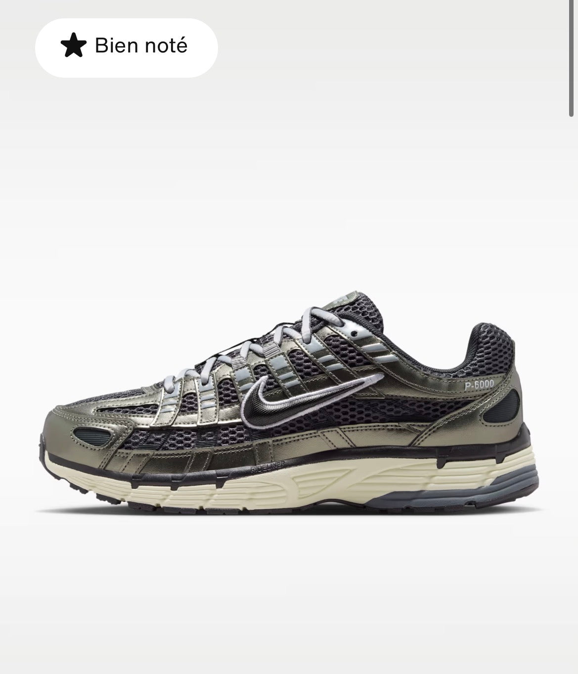 Nike P 6000
