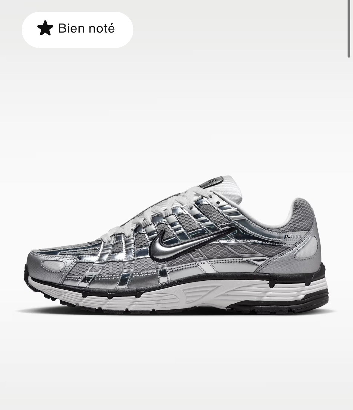 Nike P 6000
